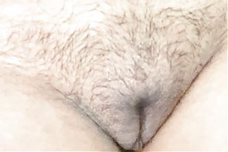 Hot Indian sexy hairy pussy